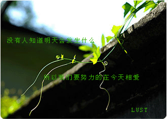 初夏,阳光如花绽放