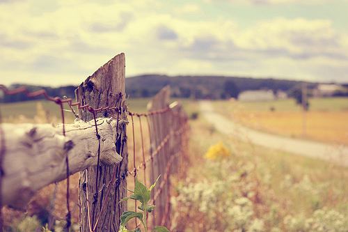 静安流年，各自安好