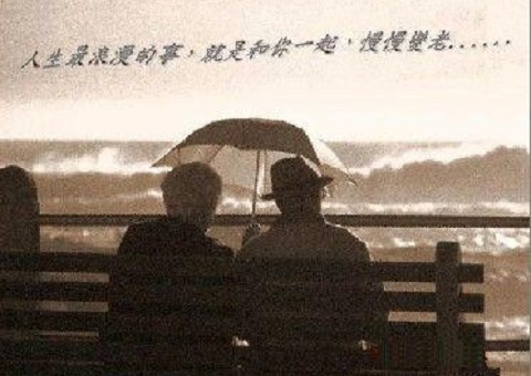 一生不够爱一人