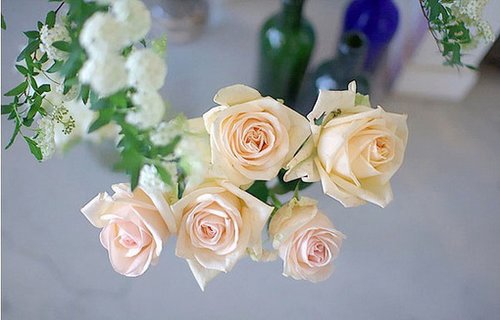 嗨,明天 嗨,明天