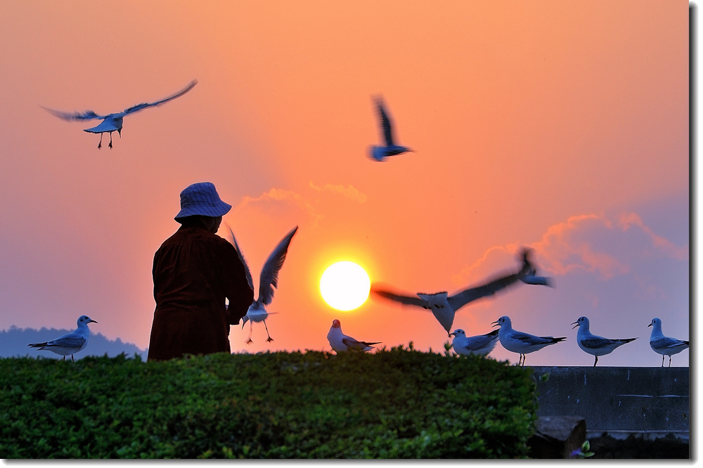 夕阳里，从前慢