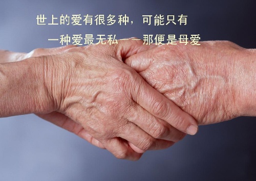 母亲的手 母亲的手