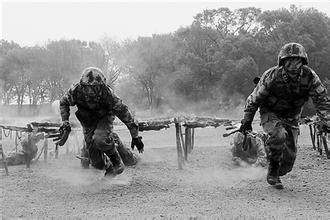 成熟在逆境,醒悟在绝境! 成熟在逆境,醒悟在绝境!