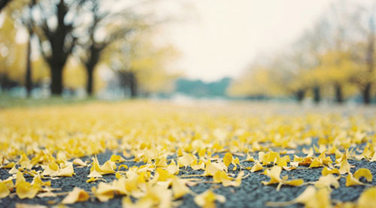 记忆，是一种破碎的孤独