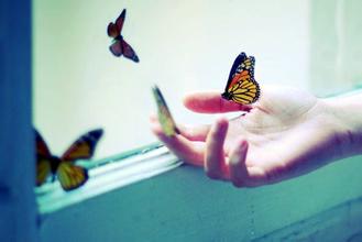 慢慢飞，亦能过沧海