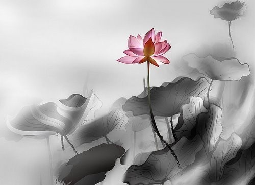 莲心为媒，执笔只为你聘婷