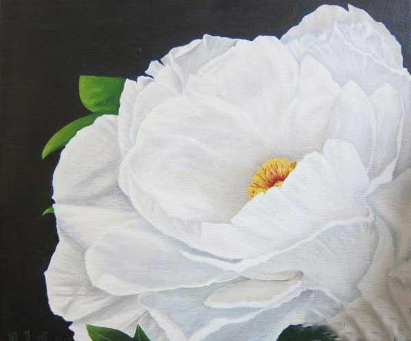 早开的牡丹 早开的牡丹