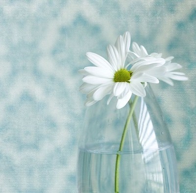 那季花开，遇见爱