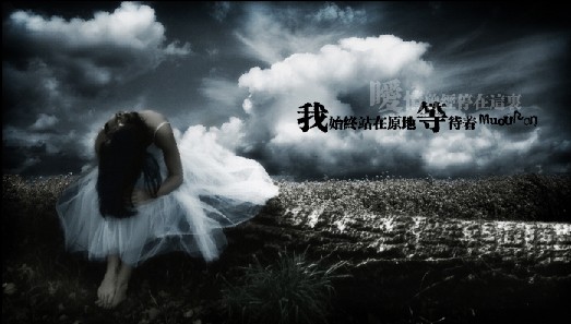 爱情跟努力没有关系