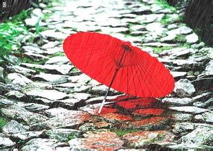春雨