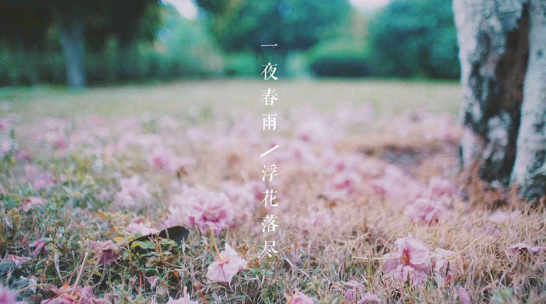 春雨缠绵,静渡清欢 春雨缠绵,静渡清欢