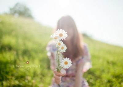 我所喜爱的那些花儿