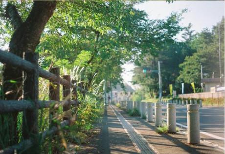 生活不过是一种选择