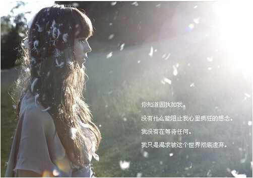 飞絮时节，而我不在