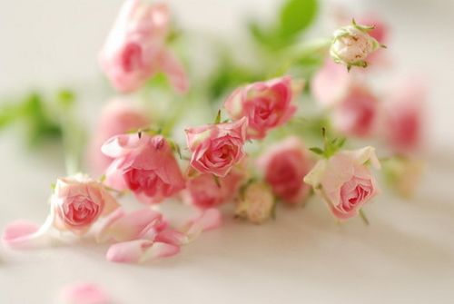 五月给六月的祝福