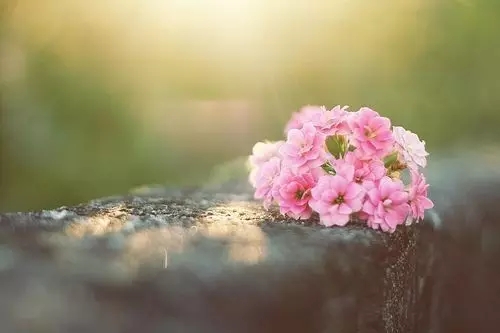 山水一程,三生有幸 山水一程,三生有幸