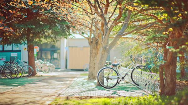 还记得那年夏天 还记得那年夏天