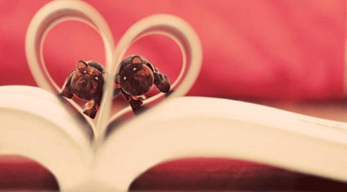 未再相见亦心欢 未再相见亦心欢