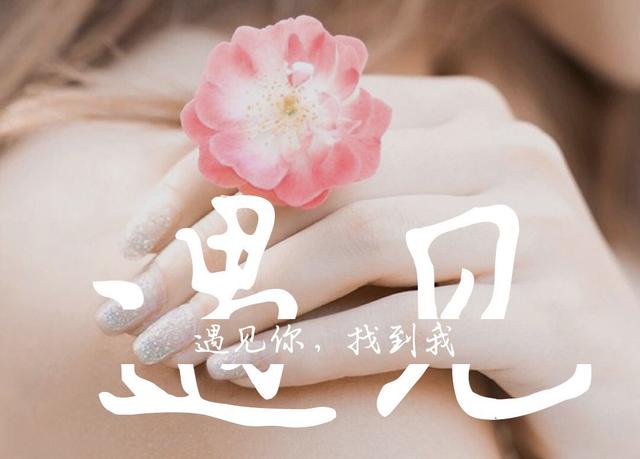 若无相欠，怎会遇见